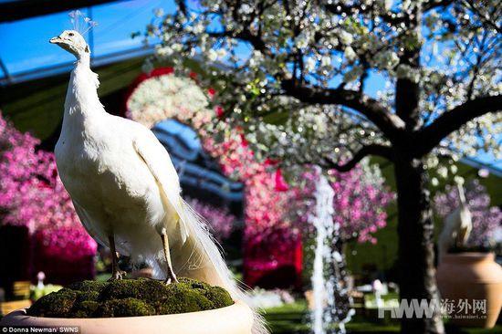 美国少女15岁奢华生日派对 花费近4000万元（组图）【8】