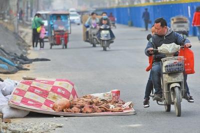 郑州马路边深夜现数百斤腐败猪肉 回应：管不了