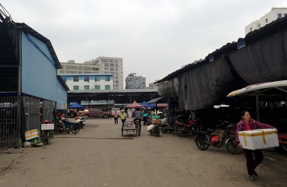 海南菜价畸高十多年　“菜霸”黑幕揭开几多怪事【2】