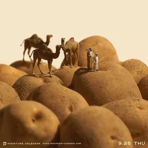 每天一张图，他成了Ins上的脑洞之王