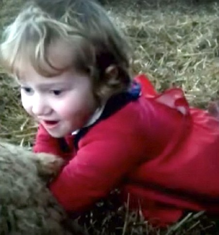 3岁萝莉穿迷你工装给羊接生 成为全英小网红