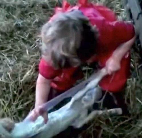 3岁萝莉穿迷你工装给羊接生 成为全英小网红