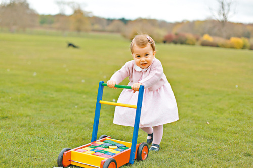 夏洛特公主一周岁生日曝近期萌照