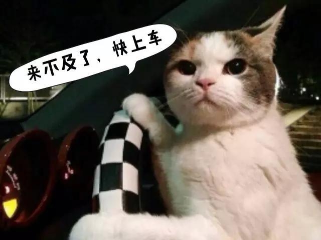 深圳地铁11号线寻宝图！你看值几个万科？