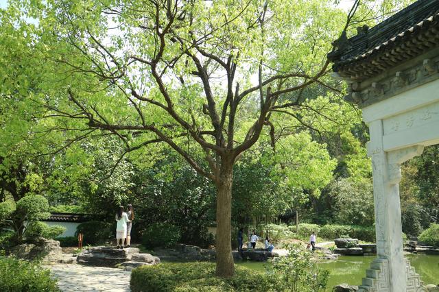 深圳的夏天，几个免费又好玩的避暑休闲好去处