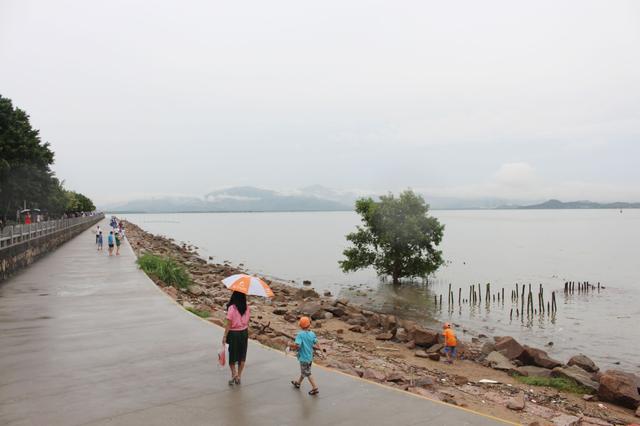 深圳的夏天，几个免费又好玩的避暑休闲好去处
