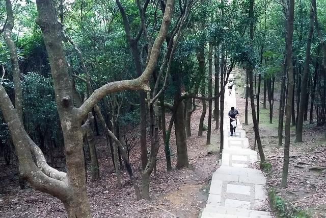 深圳的夏天，几个免费又好玩的避暑休闲好去处