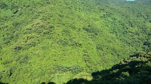 深圳的夏天，几个免费又好玩的避暑休闲好去处