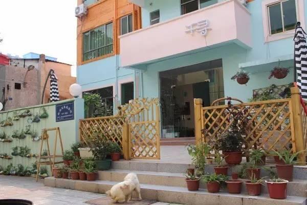 2016深圳十五大民宿榜单出炉，你去了几个?