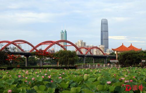 洪湖湿地公园。