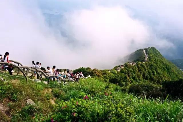 在深圳，在哪个区上班最有前途？