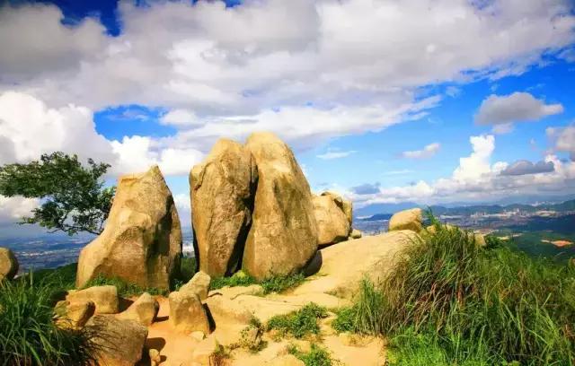 在深圳，在哪个区上班最有前途？