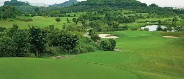 在深圳，在哪个区上班最有前途？