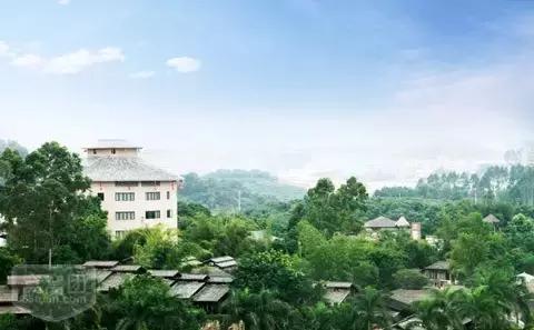 在深圳，在哪个区上班最有前途？