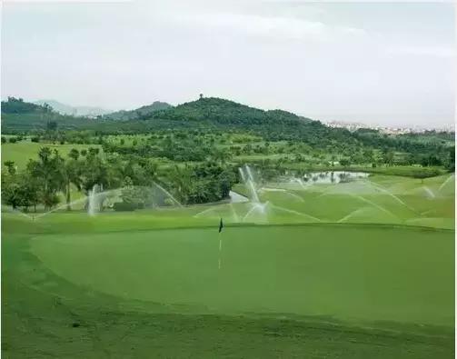 在深圳，在哪个区上班最有前途？