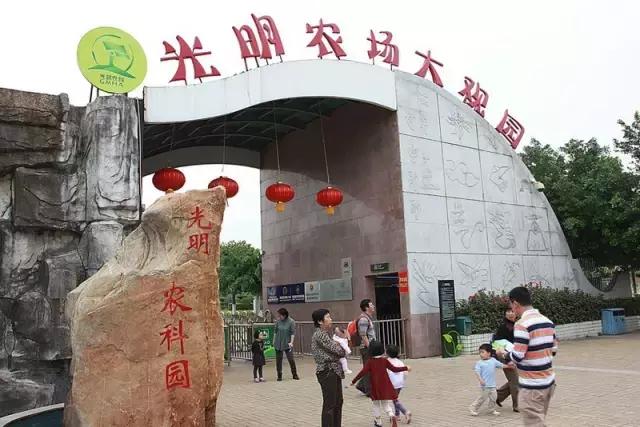 在深圳，在哪个区上班最有前途？