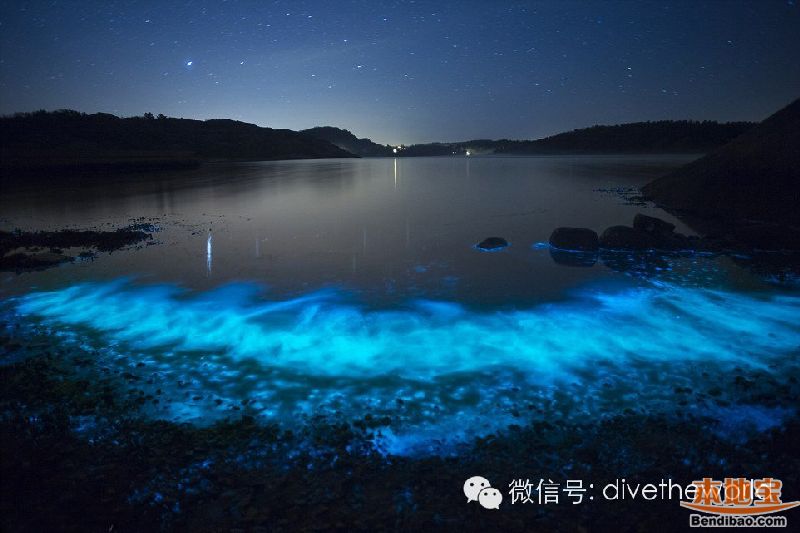 西涌现荧光海奇景 不是蓝眼泪而是夜光藻(图文)