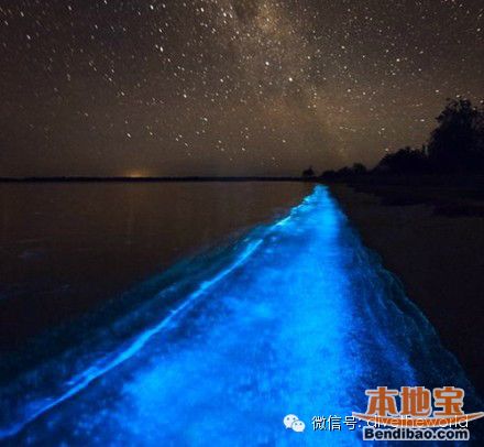 西涌现荧光海奇景 不是蓝眼泪而是夜光藻(图文)