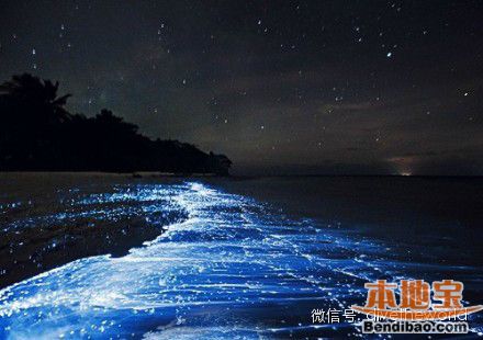 西涌现荧光海奇景 不是蓝眼泪而是夜光藻(图文)