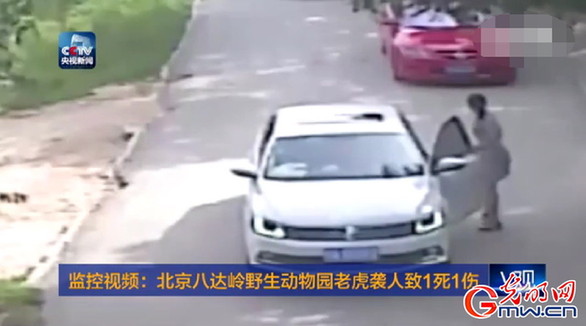北京动物园老虎袭人致1死 事发时监控曝光