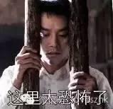 头可断，社保不能断！但深圳这样交社保，小心被判刑!