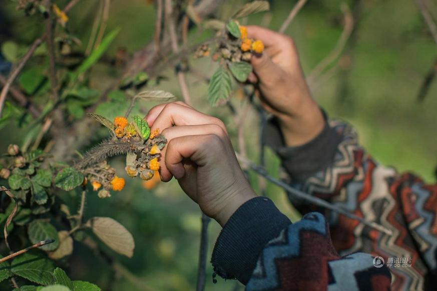 摄影师记录最美留守儿童 农村娃变时尚咖