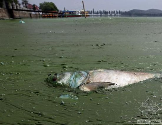 外媒眼中的中国水污染：比空气污染更严重