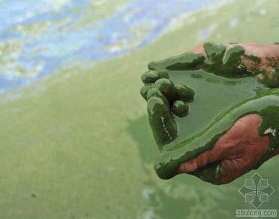 外媒眼中的中国水污染：比空气污染更严重