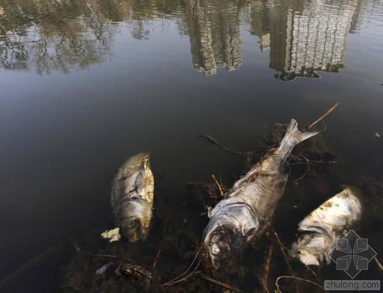 外媒眼中的中国水污染：比空气污染更严重