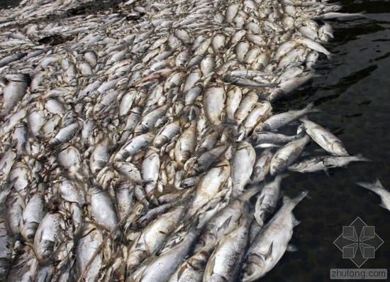 外媒眼中的中国水污染：比空气污染更严重