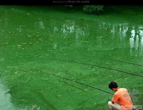 外媒眼中的中国水污染：比空气污染更严重