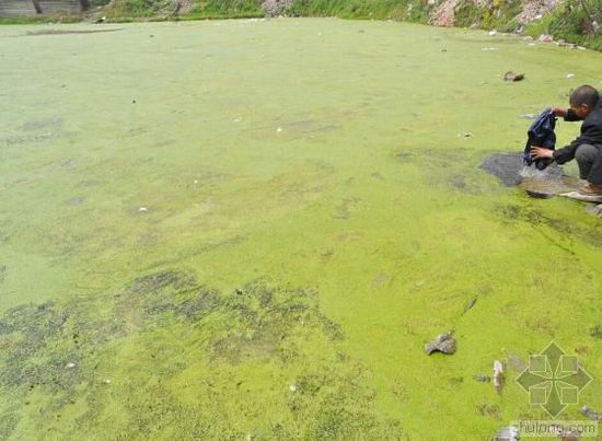 外媒眼中的中国水污染：比空气污染更严重