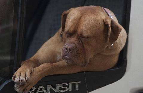 惠州南到深圳北站只要27分钟，到福田CBD比龙岗宝安还快！