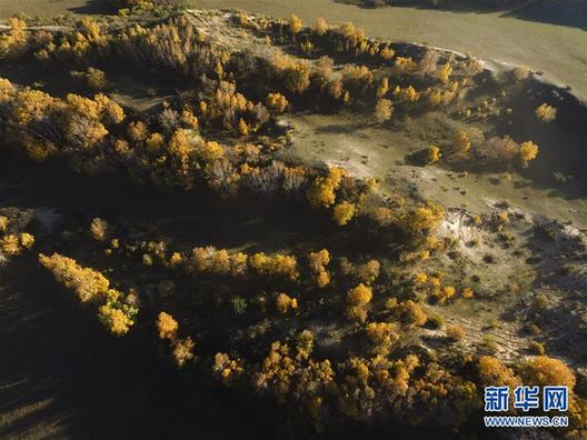 #（秋季美丽生态）（3）草原秋意浓