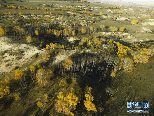 #（秋季美丽生态）（4）草原秋意浓