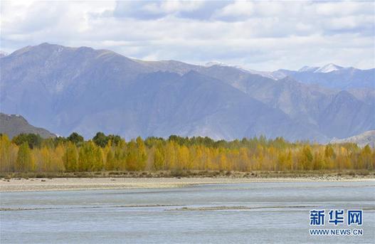 （晚报）（2）拉萨河谷秋色美