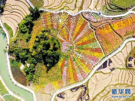 #（秋季美丽生态）（2）梯田流金