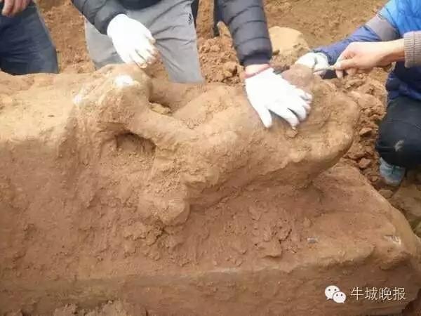 河北巨鹿“宋城文化遗址”出土大量文物！