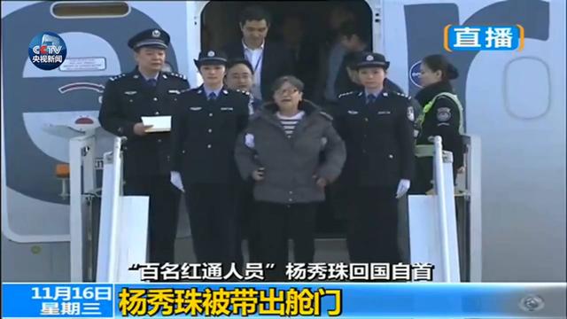 一图 | “百名红通”头号嫌犯杨秀珠回国投案 背景大起底
