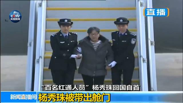 一图 | “百名红通”头号嫌犯杨秀珠回国投案 背景大起底