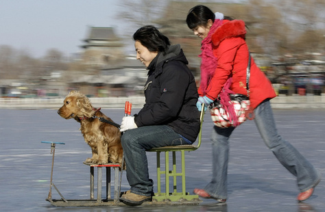 十年雪景！外媒摄影师镜头下的冬日北京