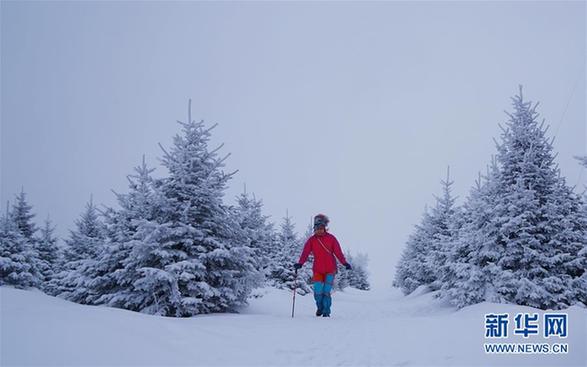 #（环境）（4）延边雾凇美如画