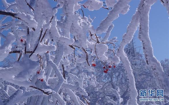 #（环境）（5）延边雾凇美如画