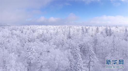 #（环境）（6）延边雾凇美如画