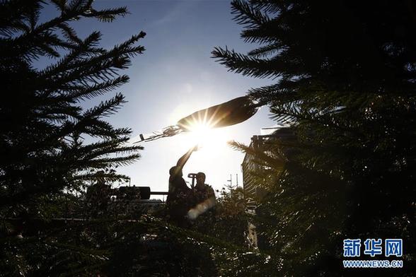 （外代二线）英国的圣诞树林场