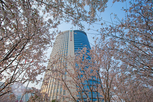 楚天传媒大厦与樱花停车场。（陈勇  摄）