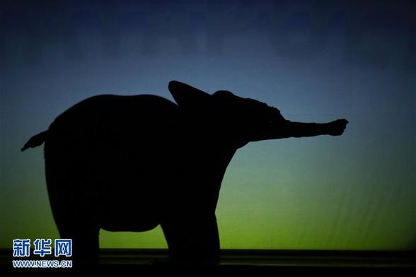 （外代二线）影之美