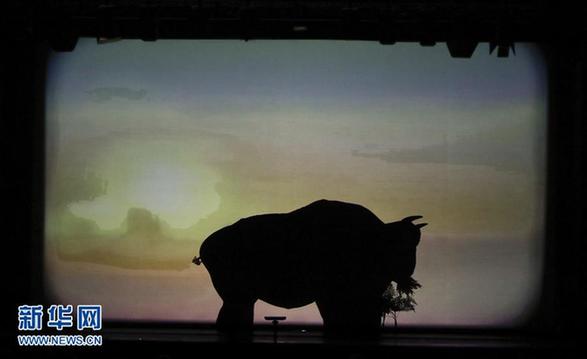 （外代二线）影之美