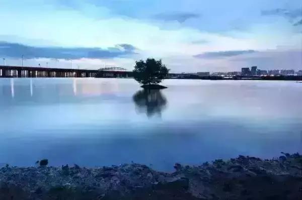 广东最美公路就在深圳！一条路，两边都是海！