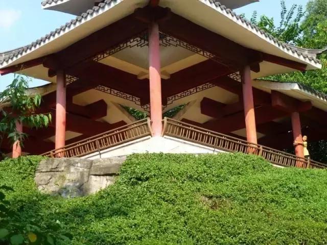 广东最美公路就在深圳！一条路，两边都是海！